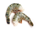 BLACK TIGER SHRIMP 21/25 HLSO