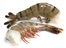 8/12 BLACK TIGER SHRIMP - HLSO