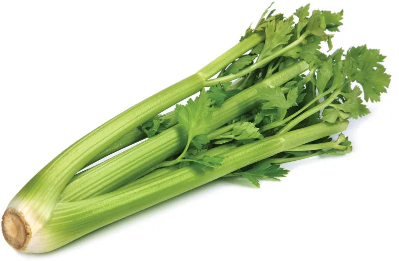 CELERY - 18-24 BUNCHES