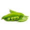 SNAP PEAS - 10#