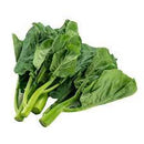 GAI LAN - CHINESE BROCCOLI - 30#