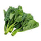 GAI LAN - CHINESE BROCCOLI - 30#