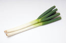 JAPANESE LEEKS (NEGI) - 24 BUNCHES