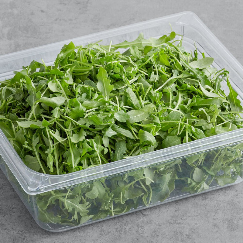 BABY ARUGULA - 4#