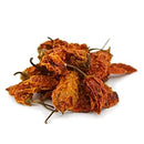 DRIED GHOST PEPPER CHILI - 12x0.25oz