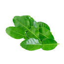 LIME LEAF - LOOSE