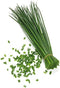 AMERICAN CHIVES - 1 DOZEN