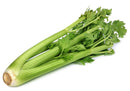 CELERY - LOOSE BUNCH