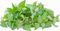 RAU RAM MINT LEAVES - BUNDLE