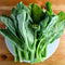 GAI LAN - CHINESE BROCCOLI - LOOSE