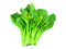 YOU CHOY SUM - 30#