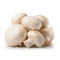 FRESH MUSHROOM MEDIUM - 10#