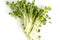 RADISH SPROUTS - 12x2.5oz