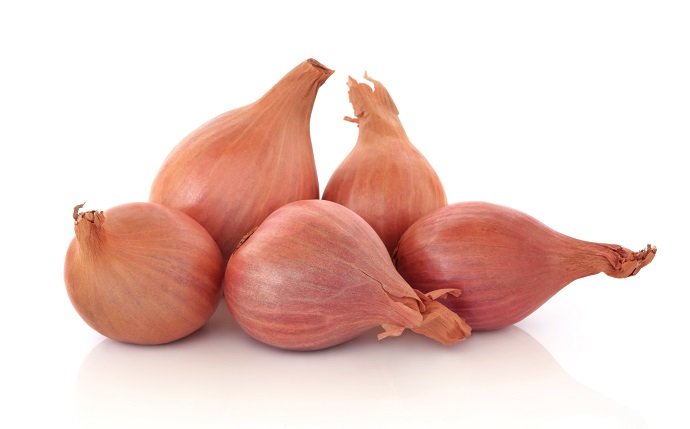 FRESH SHALLOTS - 5#