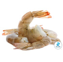 SHRIMP 21/25 HLSO