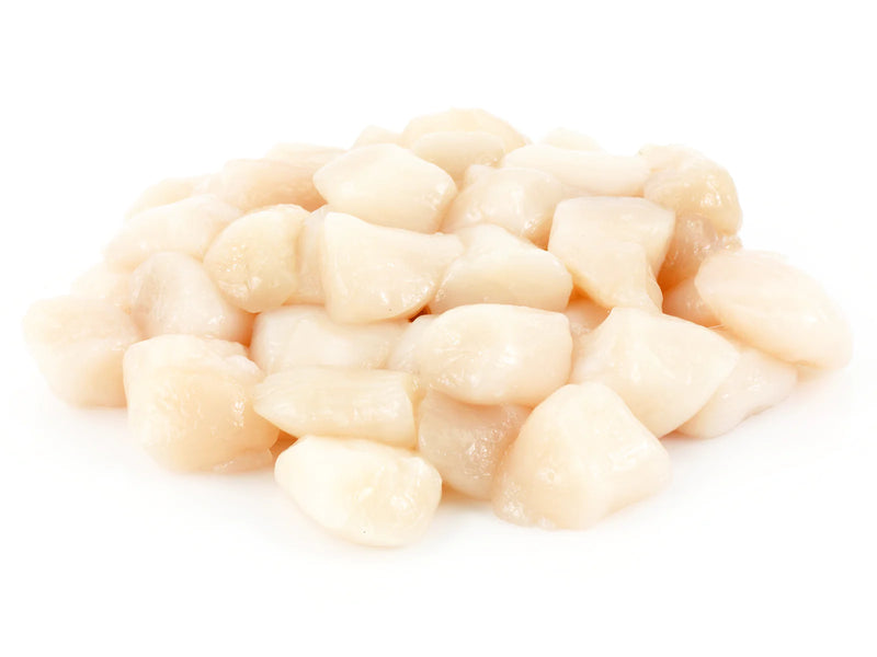 SCALLOP - 60/80