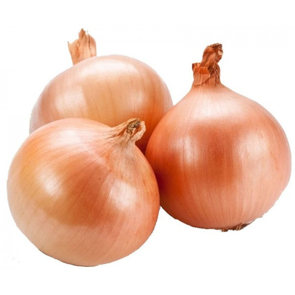 BROWN ONION - 50#