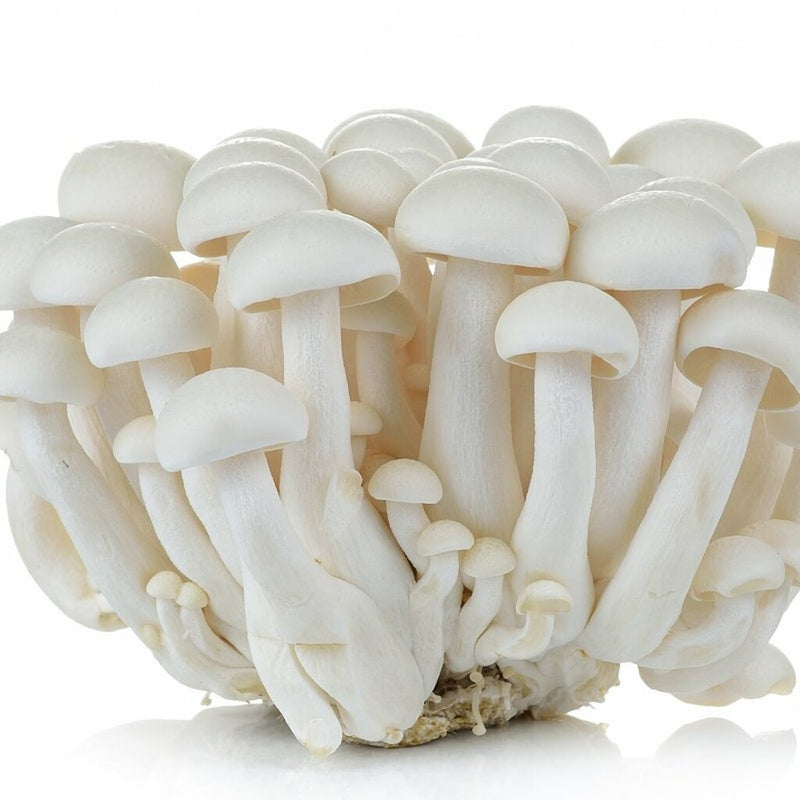 BUNAPI WHITE BEECH MUSHROOM - 24x3.5oz