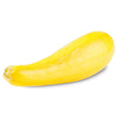 YELLOW SQUASH - 20#