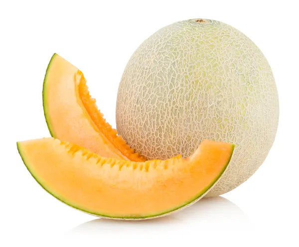 CANTALOUPE MELON