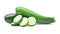 ZUCCHINI SQUASH - 40#