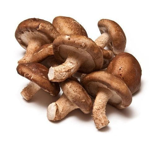 FRESH SHIITAKE MUSHROOM - 5#