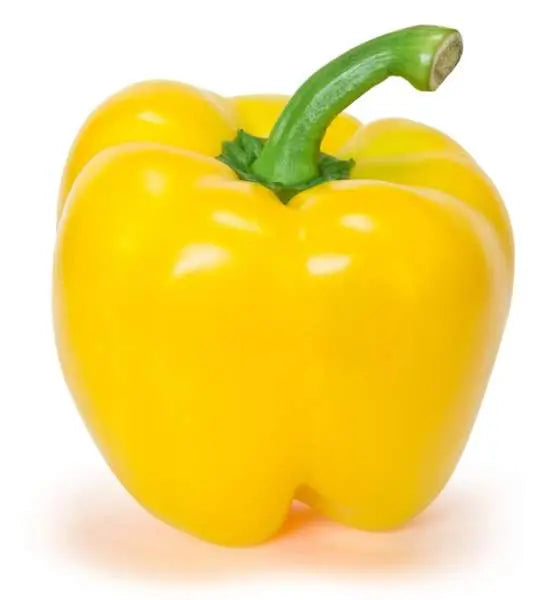 YELLOW BELL PEPPER - 11#