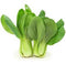 SHANGHAI BOK CHOY - 30#