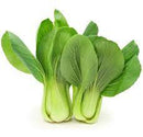 SHANGHAI BABY BOK CHOY - LOOSE