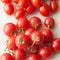 GRAPE TOMATOES - 12 x 1 PINT