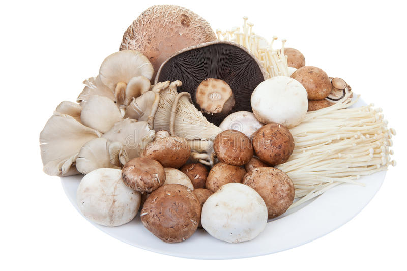 ASSORTED MIX MUSHROOMS - 12x400g