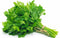 AMERICAN PARSLEY - 60 bd