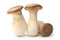 KING OYSTER MUSHROOMS - 11#