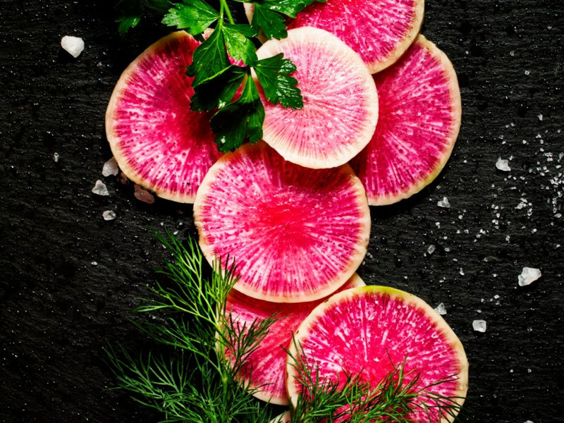 WATERMELON RADISH - 10#